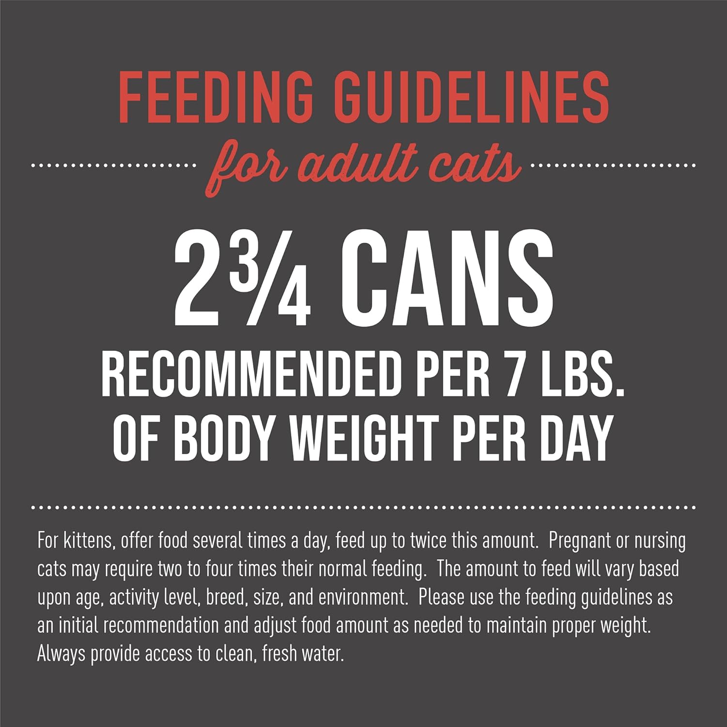 Tiki cat pate sardine and lobster consommé recipe in broth