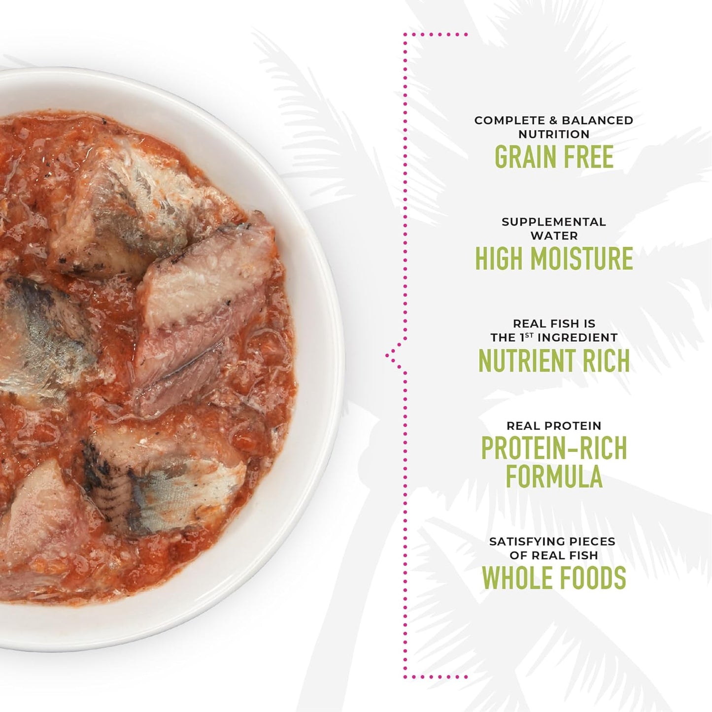 Tiki cat pate sardine and lobster consommé recipe in broth