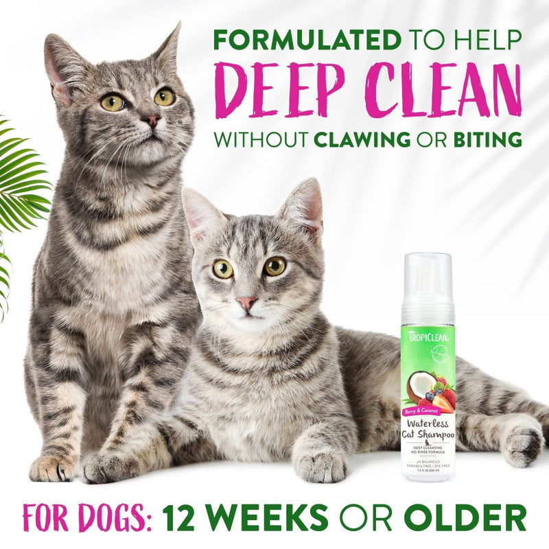 TropiClean Berry Coconut Waterless Cat Shampoo - Deep Cleansing Dry Shampoo for Cats - Natural Cat Shampoo Derived from Natural Ingredients - 7.4 oz