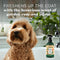 TropiClean Essentials Jojoba Oil Shampoo for Dogs - Condition The Coat - Derived from Natural Ingredients