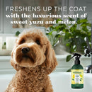 TropiClean Essentials Yuzu Fruit Cologne & Deodorizing Spray For Pets - Hydrate The Skin - Derived from Natural Ingredients