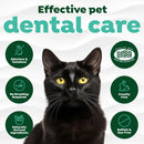 TropiClean Fresh Breath for Cats | Cat Dental Water Additive | Cat Breath Freshener for Healthy Cat Dental Care | Made in the USA | 16 oz.