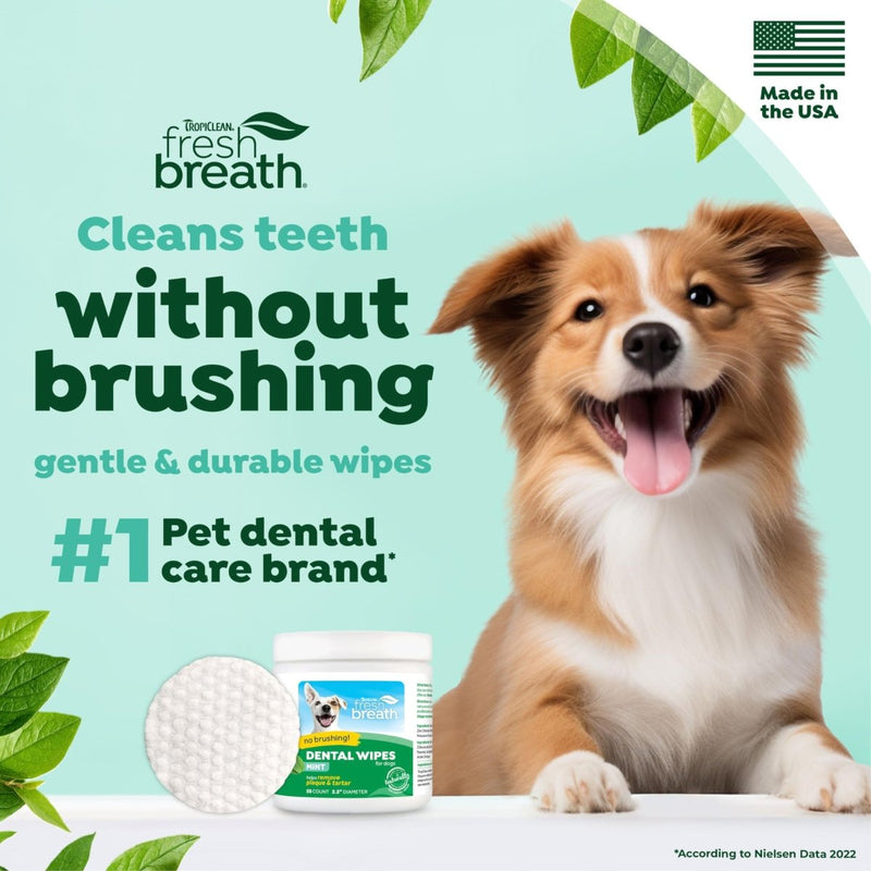 TropiClean Fresh Breath No Brushing Clean Teeth Dental & Oral Care Dental Wipes for Dogs - 50ct - No Brushing Required