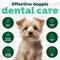 TropiClean Fresh Breath Puppy Oral Care Kit - Puppy Toothbrush and Toothpaste Kit - Dog Tooth Brushing Kit