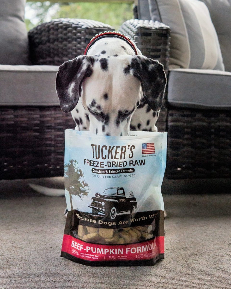 Tucker's Freeze Dried Raw Dog Food, Beef & Pumpkin Formula 14oz