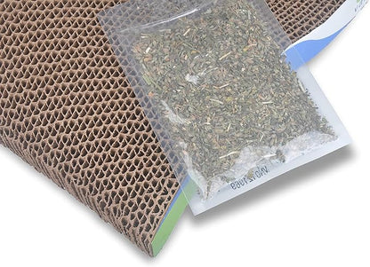 Van ness scratch n relax