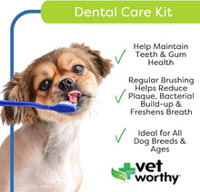 Vet worthy dental care kit