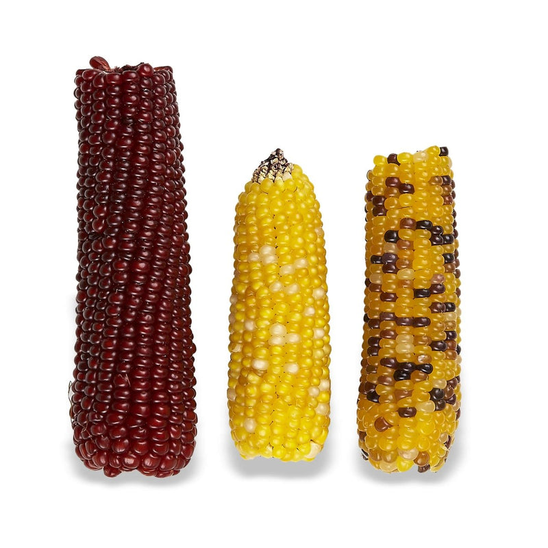 Vitakraft Mini Pops 100% Real Corn Cob Supports Healthy Teeth Small Animal Treat - 6 oz