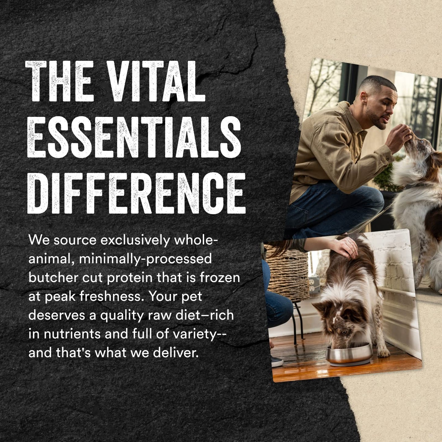 Vital Essentials Freeze Dried Raw Protein Mix - in Dog Food Topper, Salmon Mini Nibs Topper for Dogs, 6 oz