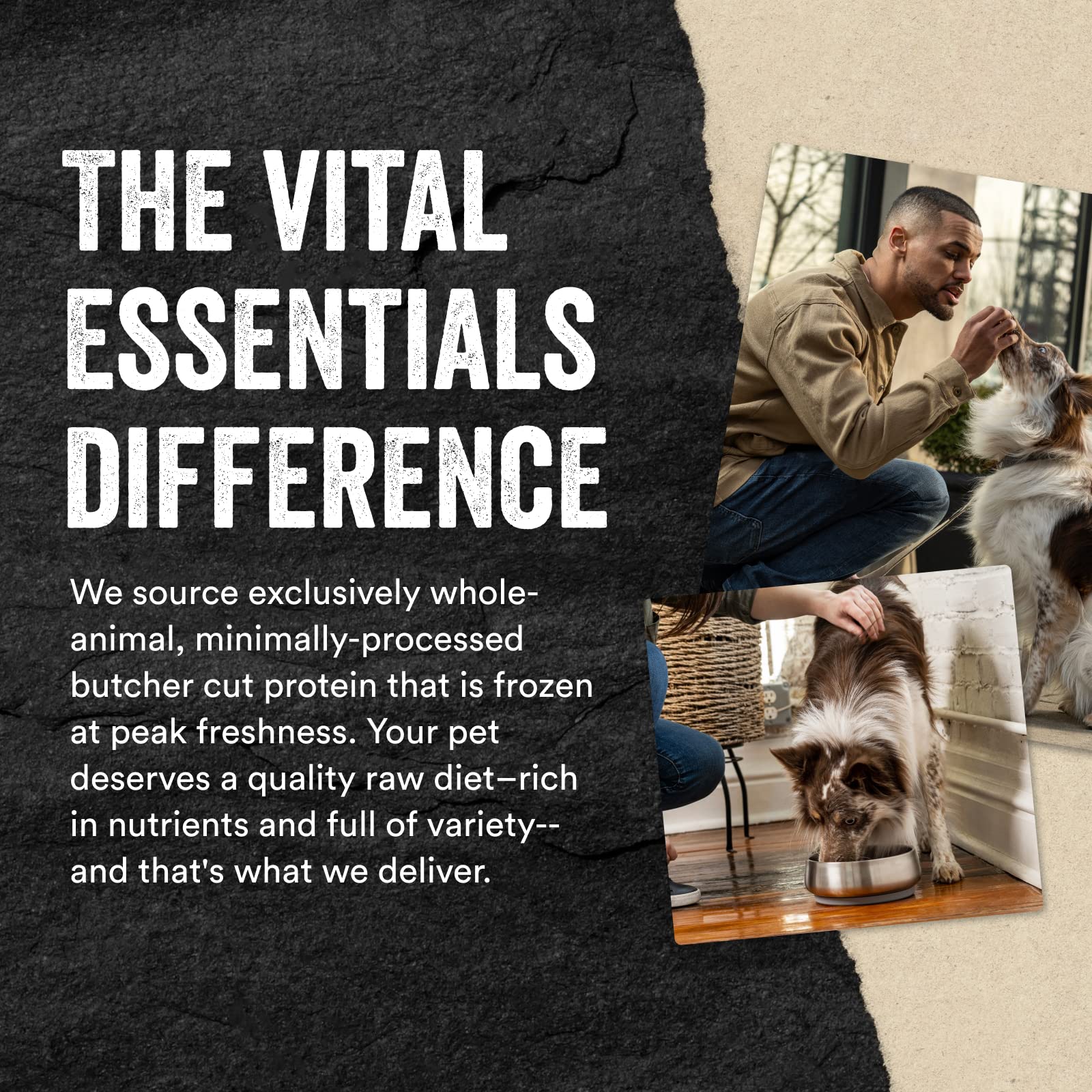 Vital Essentials Freeze Dried Raw Protein Mix - in Dog Food Topper, Salmon Mini Nibs Topper for Dogs, 6 oz