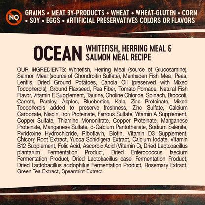 Wellness Core Grain - Free High - Protein Dry Dog Food – Ocean Whitefish, Herring & Salmon Recipe, 4 lb Bag | Natural Ingredients for Adult Dogs