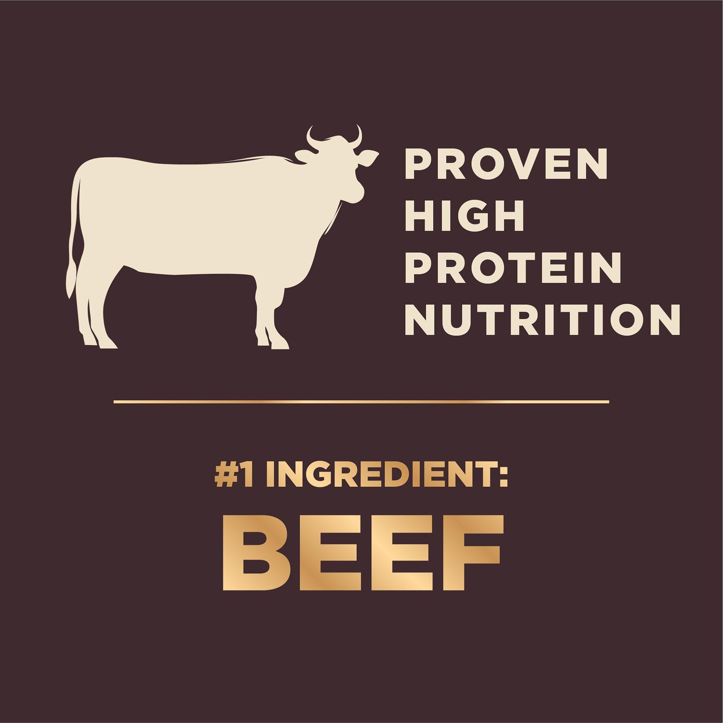 Wellness Core+ Grained Dry Dog Food – Beef & Barley Recipe, 4 lb Bag | High - Quality, Natural Dog Food with Wholesome Grains