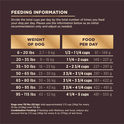 Wellness Core+ Grained Dry Dog Food – Beef & Barley Recipe, 4 lb Bag | High - Quality, Natural Dog Food with Wholesome Grains