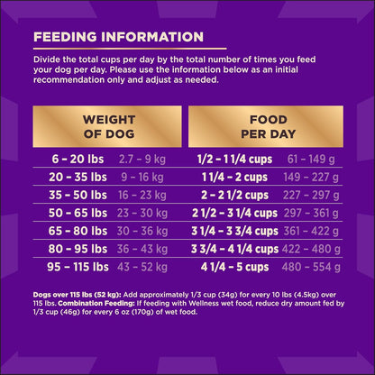 Wellness core plus grain free turkey adult dog food