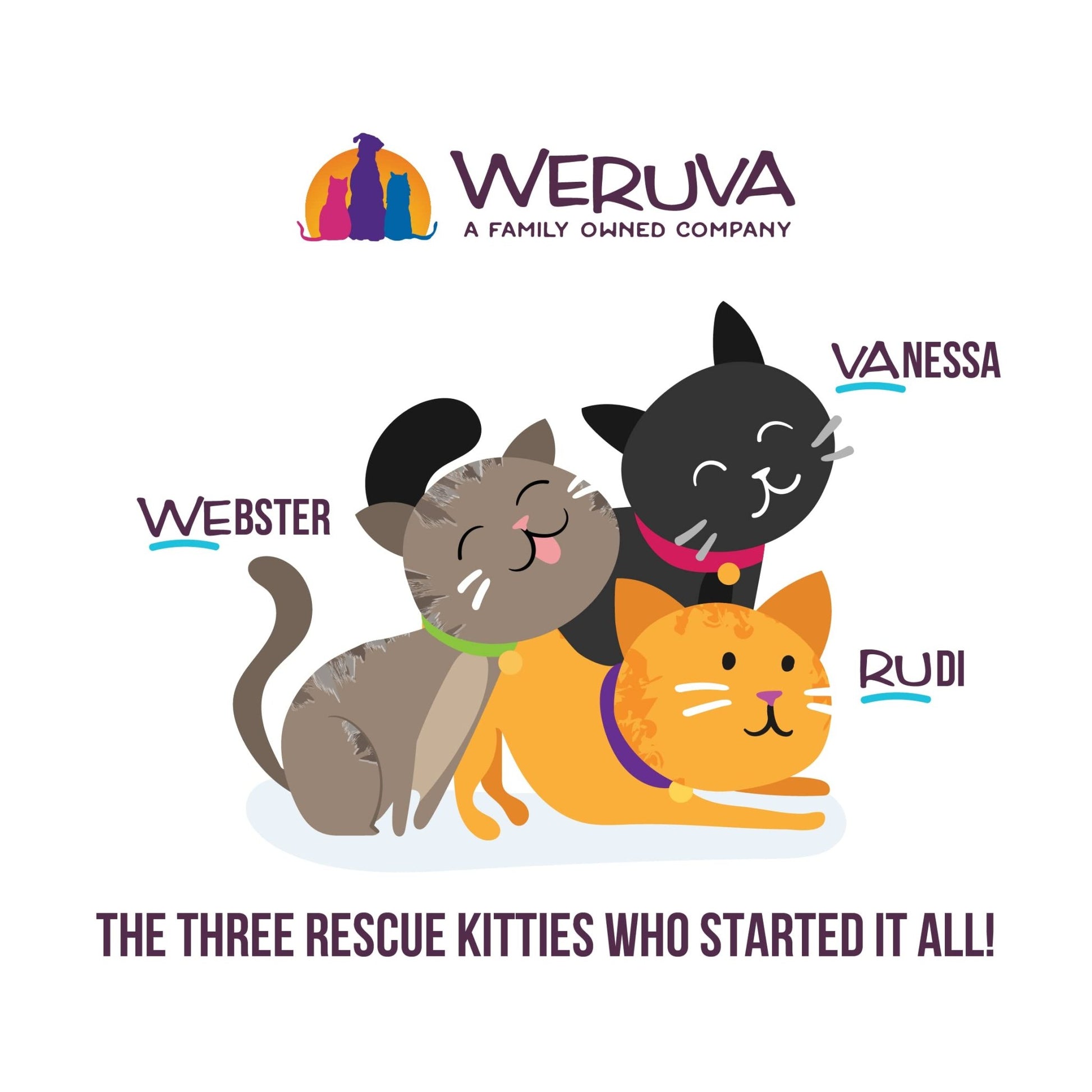 Weruva B.F.F. Play - Best Feline Friend Paté Lovers, Aw Yeah!, Turkey & Tuna Tweet Me! with Turkey & Tuna, 2.8oz Can (Pack of 12)