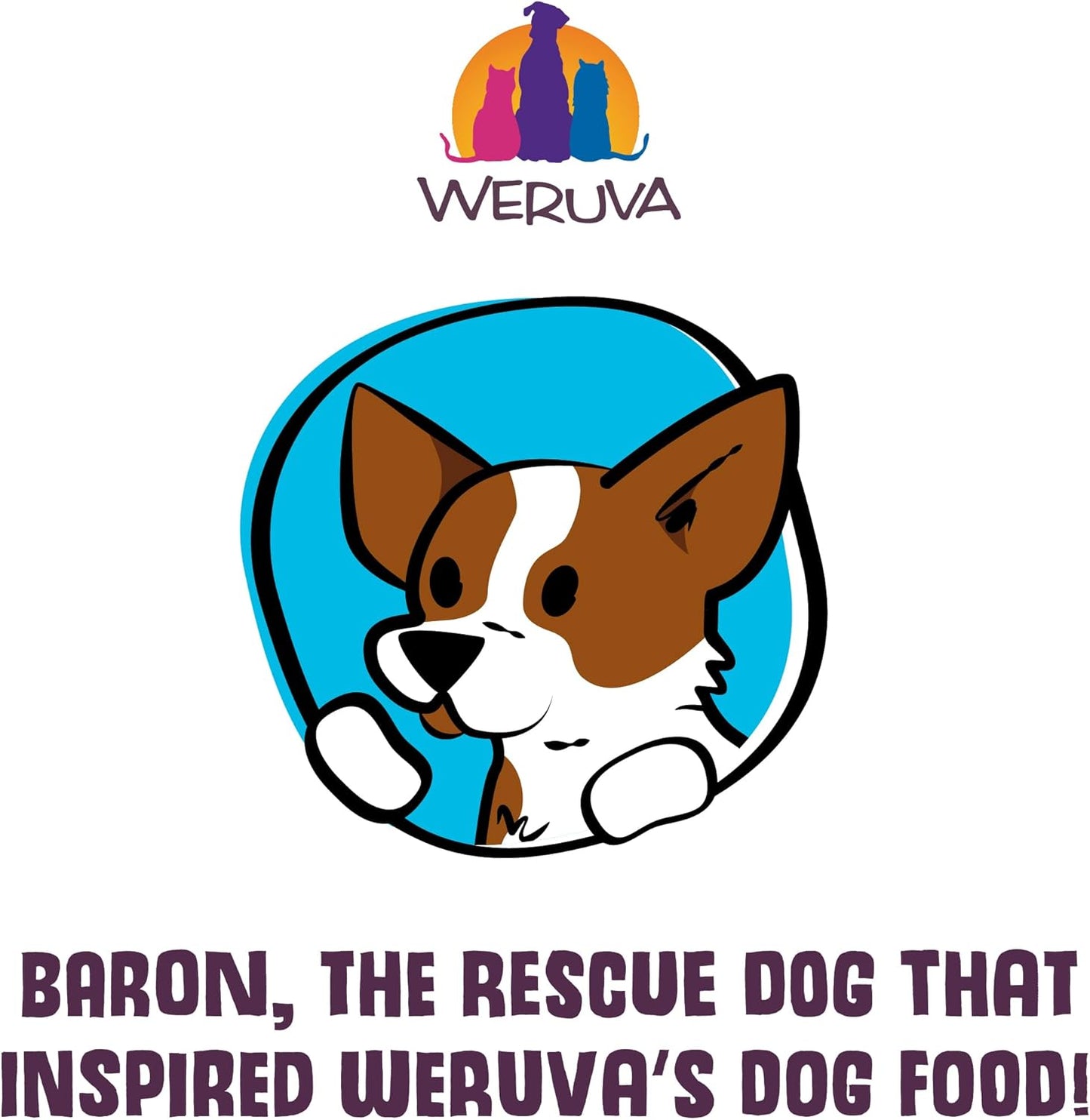 Weruva canned dog food jammin salmon with chicken and salmon in pumpkin soup