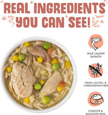 Weruva canned dog food jammin salmon with chicken and salmon in pumpkin soup