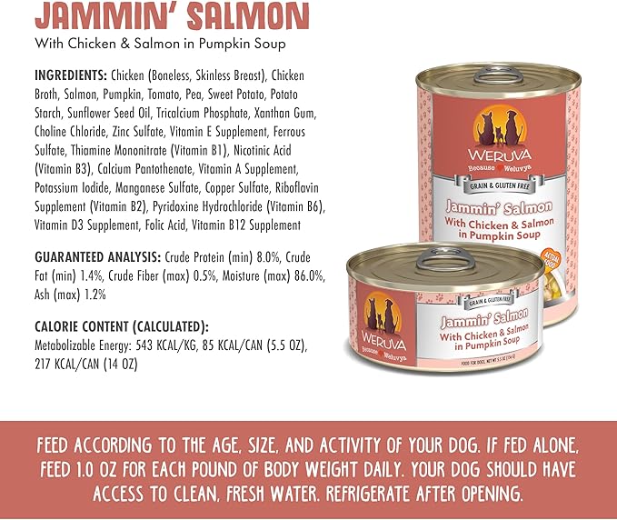 Weruva canned dog food jammin salmon with chicken and salmon in pumpkin soup