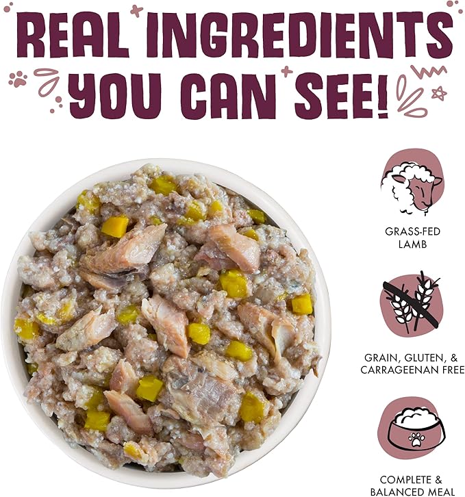 Weruva hot dayam with luscious lamb in Gale canned dog food