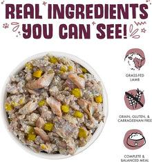 Weruva hot dayam with luscious lamb in Gale canned dog food