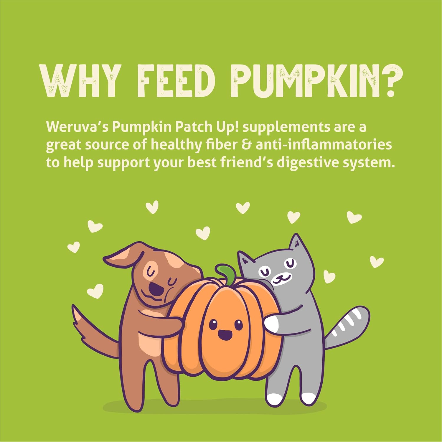 Weruva pumpkin patch up puréed pumpkin 12 count