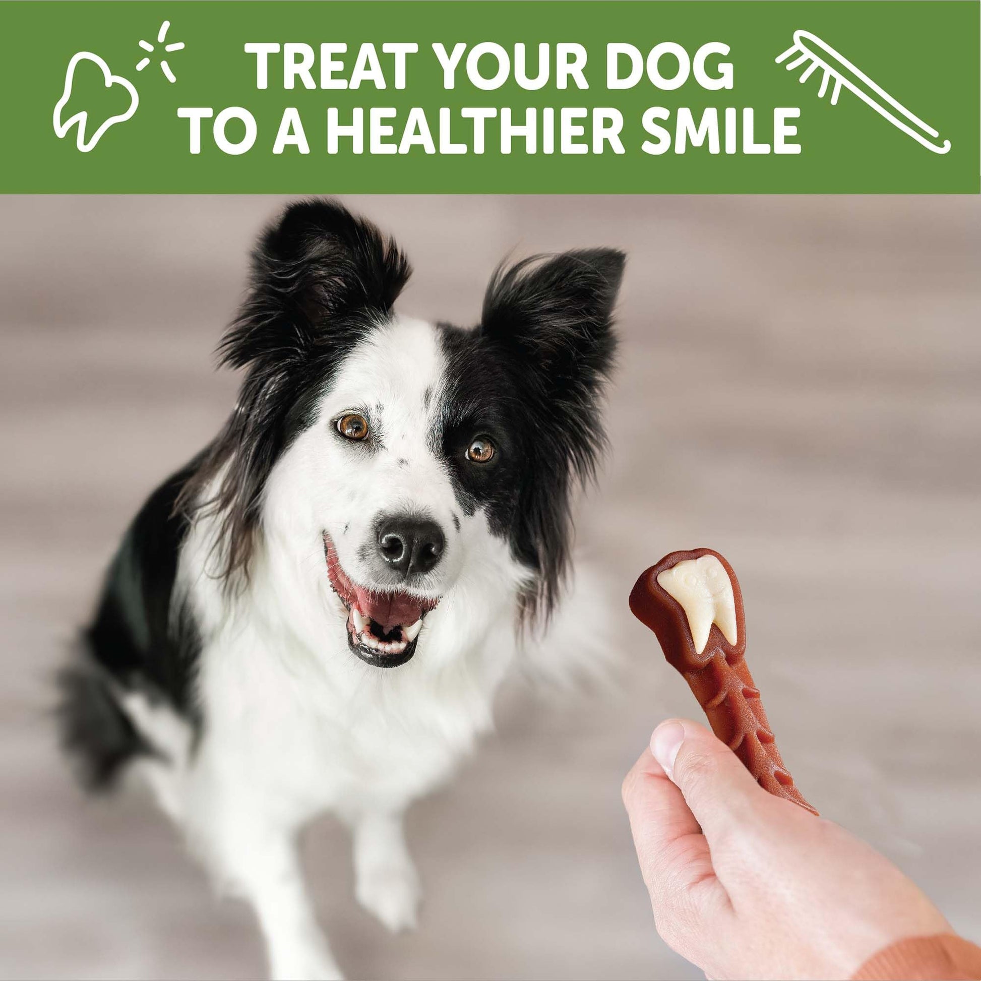 Whimzees By Wellness Brushing Dental Chews For Dogs, Grain - Free, Long Lasting Treats, Freshens Breath Medium Breed, 12 Count