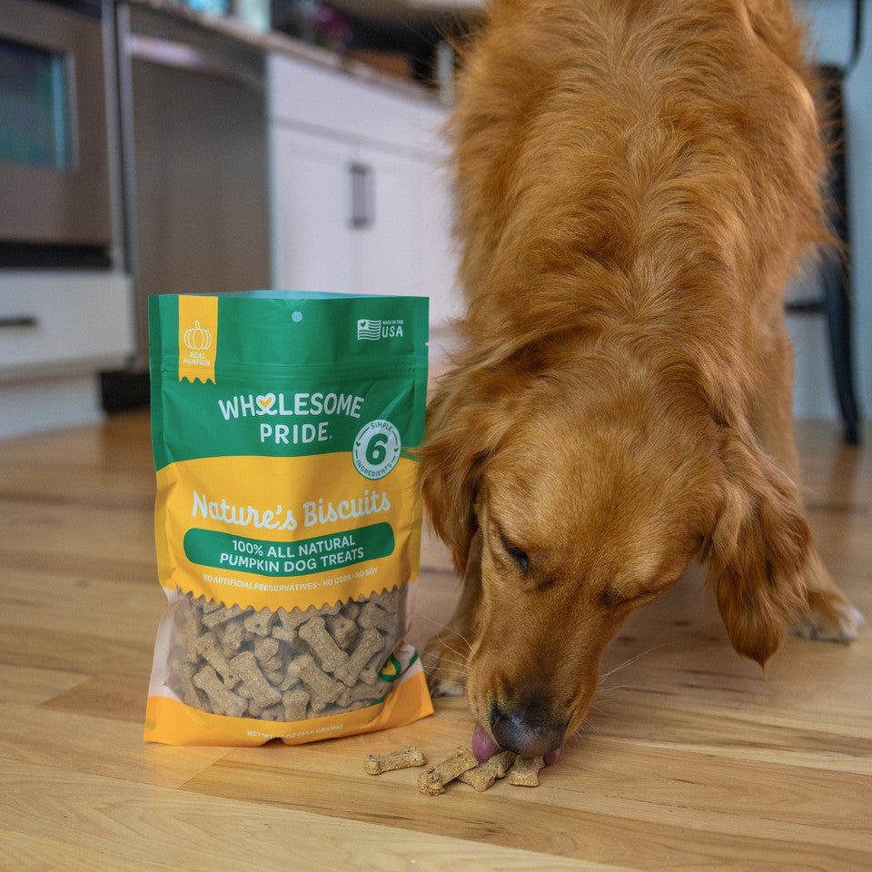 Wholesome natures biscuits 100% all natural pumpkin dog treats 16 oz