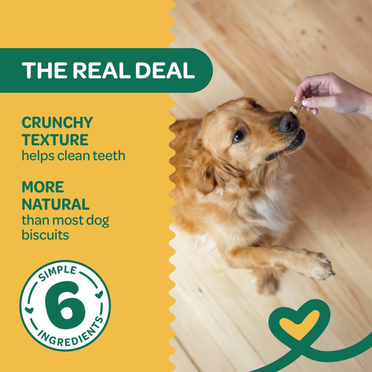 Wholesome natures biscuits 100% all natural pumpkin dog treats 16 oz