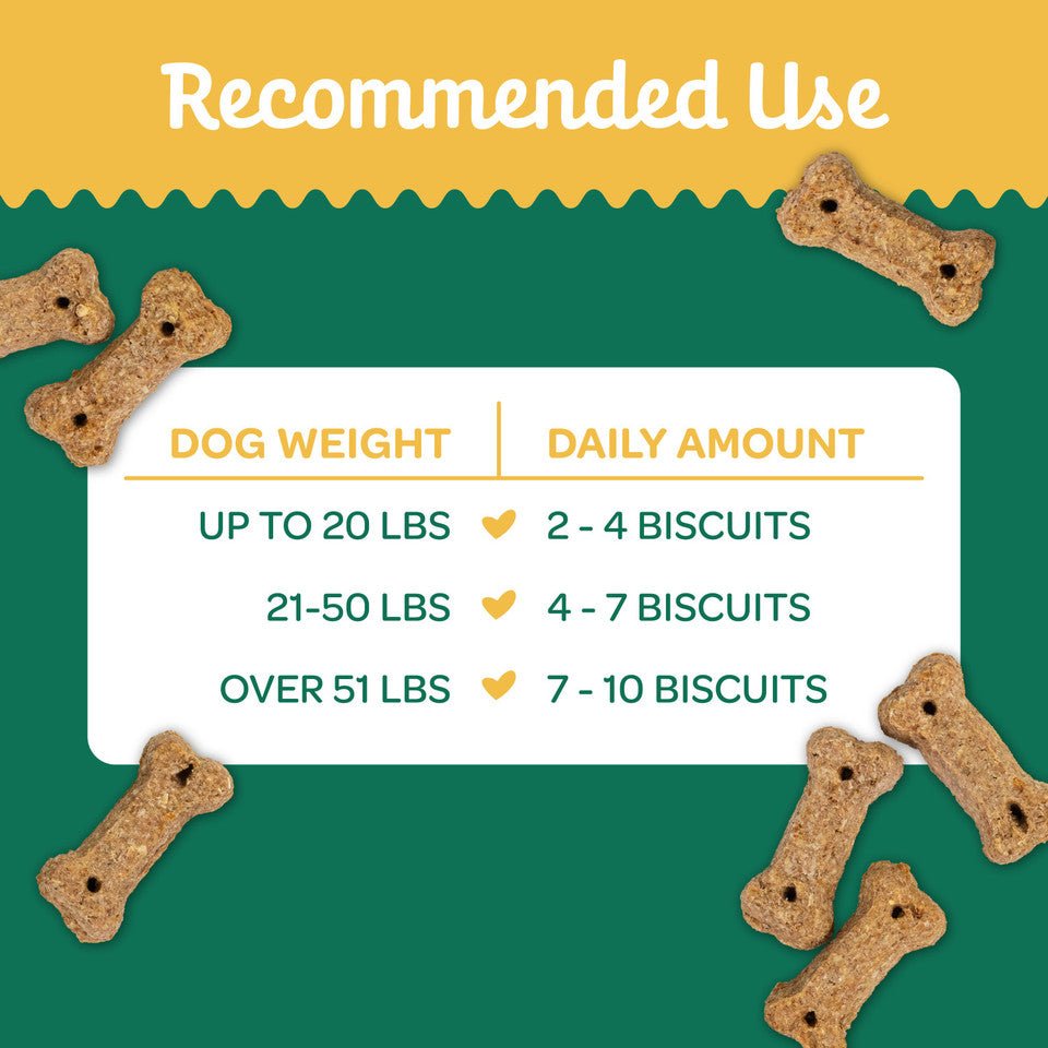 Wholesome natures biscuits 100% all natural pumpkin dog treats 16 oz