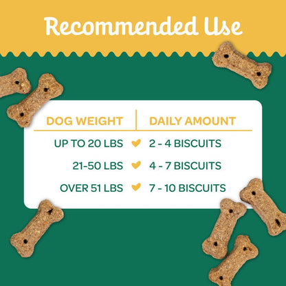 Wholesome natures biscuits 100% all natural pumpkin dog treats 16 oz