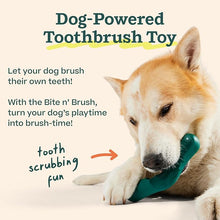 Woof bite n brush toothbrush small for dog