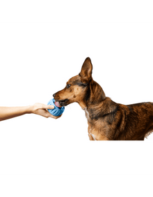 Woof pupsicle large