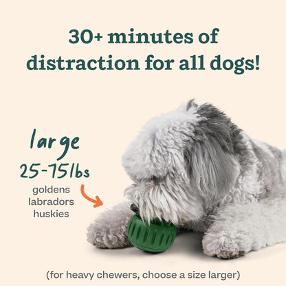 WOOF Pupsicle - Long - Lasting Interactive Dog Toy to Keep Your Pup Distracted - Safe for Dogs - Low - Mess Design - Dog Toys for Large Dogs 25 - 75 lbs