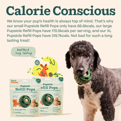 WOOF Pupsicle Refill Pops - Low - Mess Dog Snacks - with Peanut Butter and Beef - Dog Treats - Long Lasting - XL Pops - 5 Count