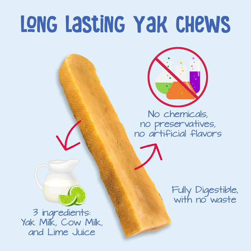 Yeti Natural Yak Cheese Long Lasting Dog Chew for Aggressive Chewers, Medium Dog, 1 Piece, 2.5 Oz