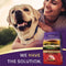 Zignature Lamb Limited Ingredient Formula Dry Dog Food 4lb