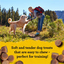 Zuke's Mini Naturals Dog Training Treats - Salmon Recipe - Soft Mini Dog Treats with Vitamins & Minerals - 16 Ounce