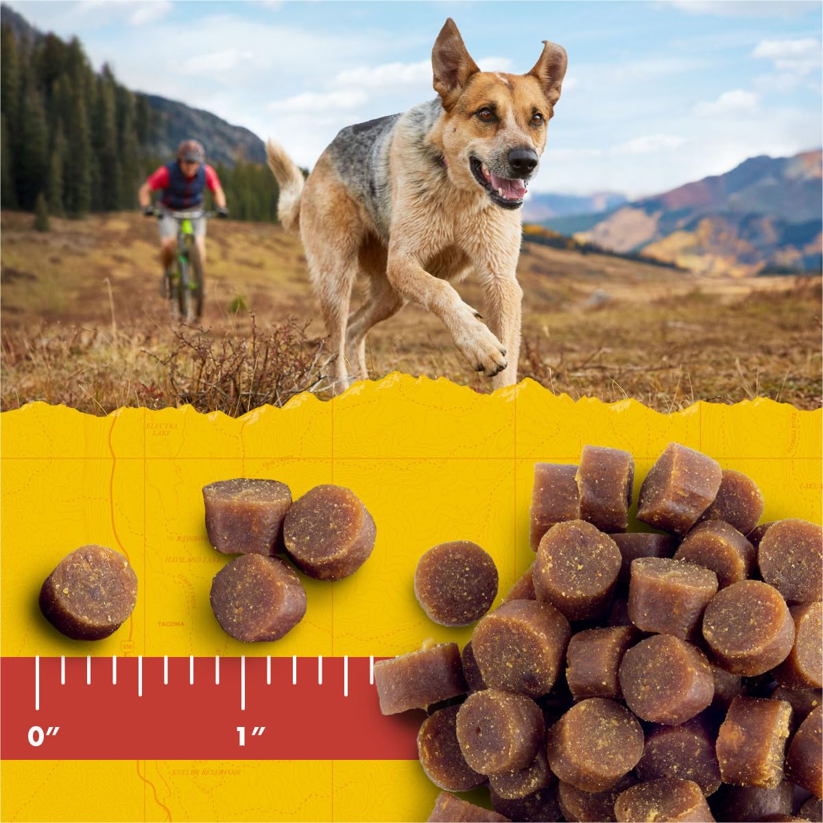 Zuke's Mini Naturals Soft Dog Treats for Training, Soft and Chewy Dog Training Treats with Chicken Recipe