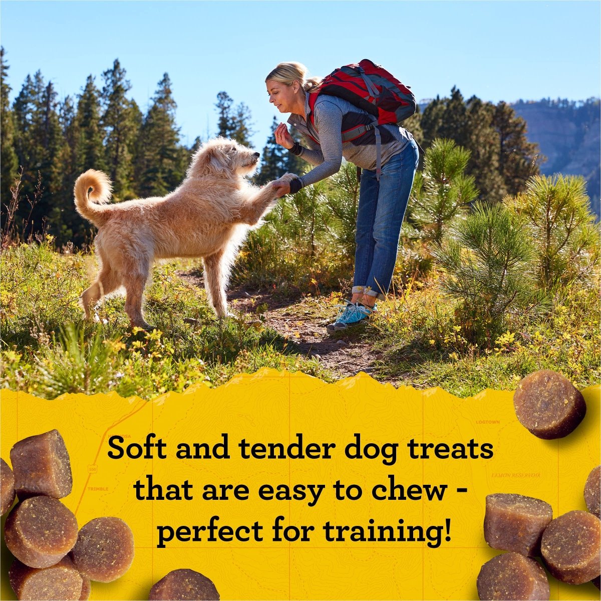 Zuke's Mini Naturals Soft Dog Treats for Training, Soft and Chewy Dog Training Treats with Chicken Recipe