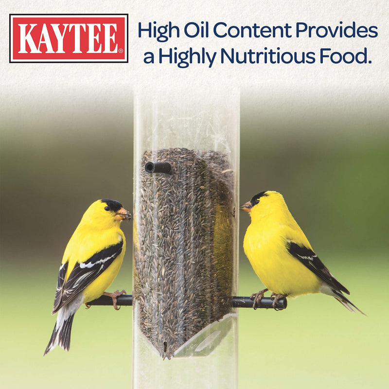 Kaytee Nyjer Wild Bird Food Seed, 3 Pound - Rowdy & Archie Pet Food & Supplies Shop