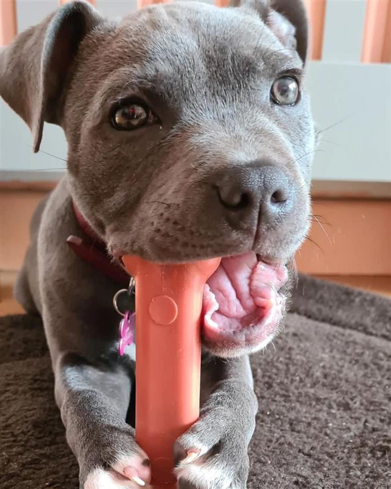 Nylabone